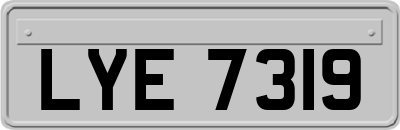 LYE7319