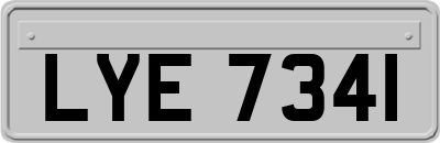 LYE7341