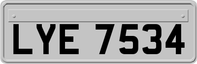 LYE7534