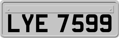 LYE7599