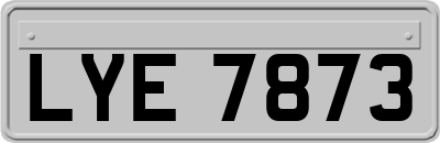 LYE7873