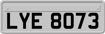 LYE8073