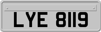 LYE8119