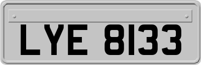 LYE8133