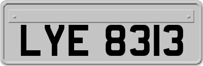 LYE8313