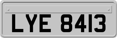 LYE8413