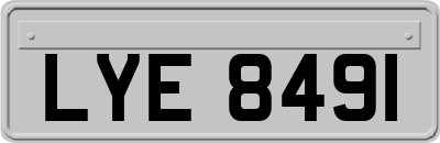 LYE8491