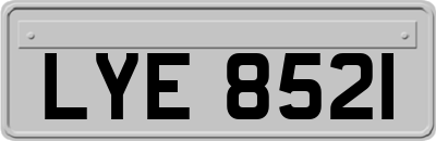 LYE8521