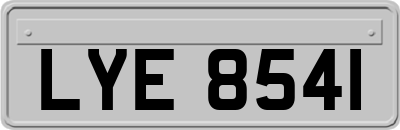 LYE8541
