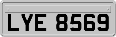 LYE8569
