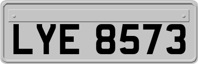 LYE8573