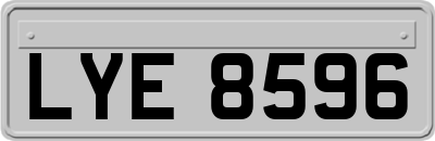 LYE8596