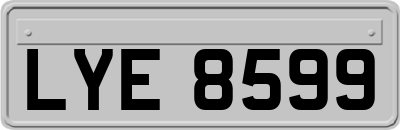 LYE8599
