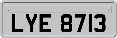 LYE8713