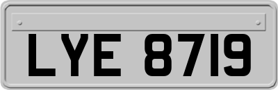 LYE8719