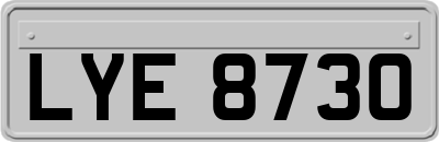 LYE8730
