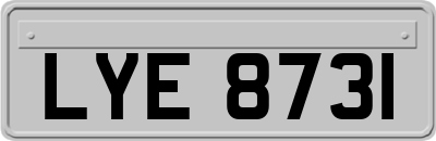 LYE8731