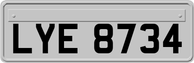 LYE8734