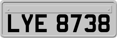LYE8738