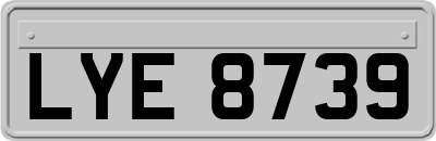 LYE8739