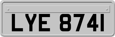 LYE8741