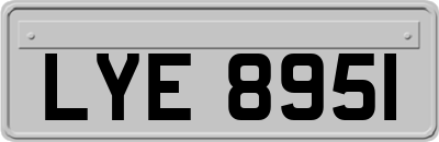 LYE8951
