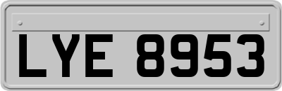 LYE8953