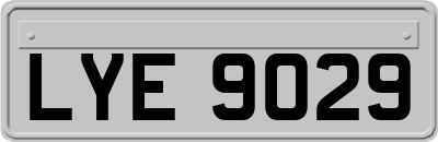 LYE9029