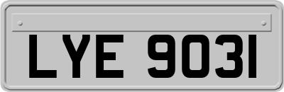 LYE9031