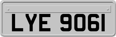 LYE9061