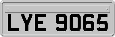LYE9065