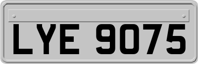 LYE9075
