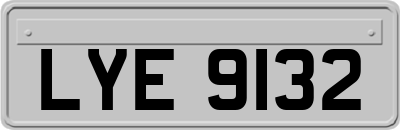 LYE9132