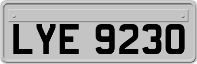LYE9230