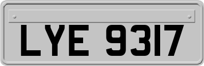 LYE9317