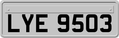 LYE9503
