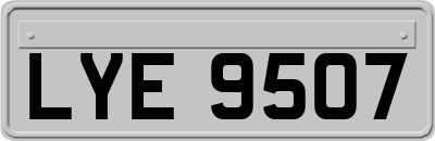 LYE9507