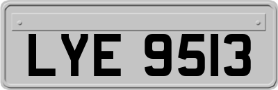 LYE9513