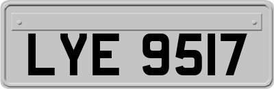LYE9517
