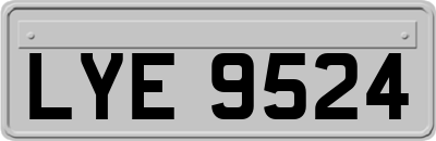 LYE9524