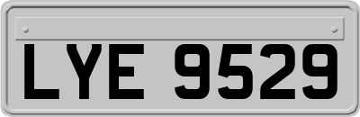 LYE9529