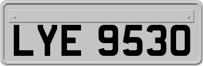LYE9530