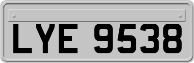 LYE9538