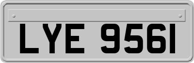 LYE9561
