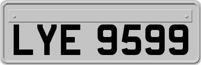 LYE9599