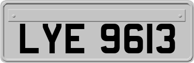 LYE9613