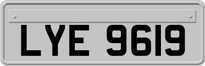 LYE9619