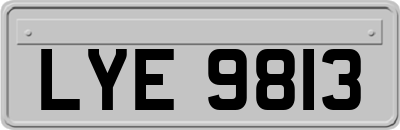 LYE9813