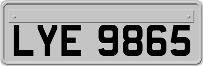 LYE9865