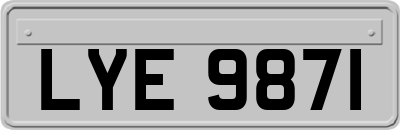 LYE9871